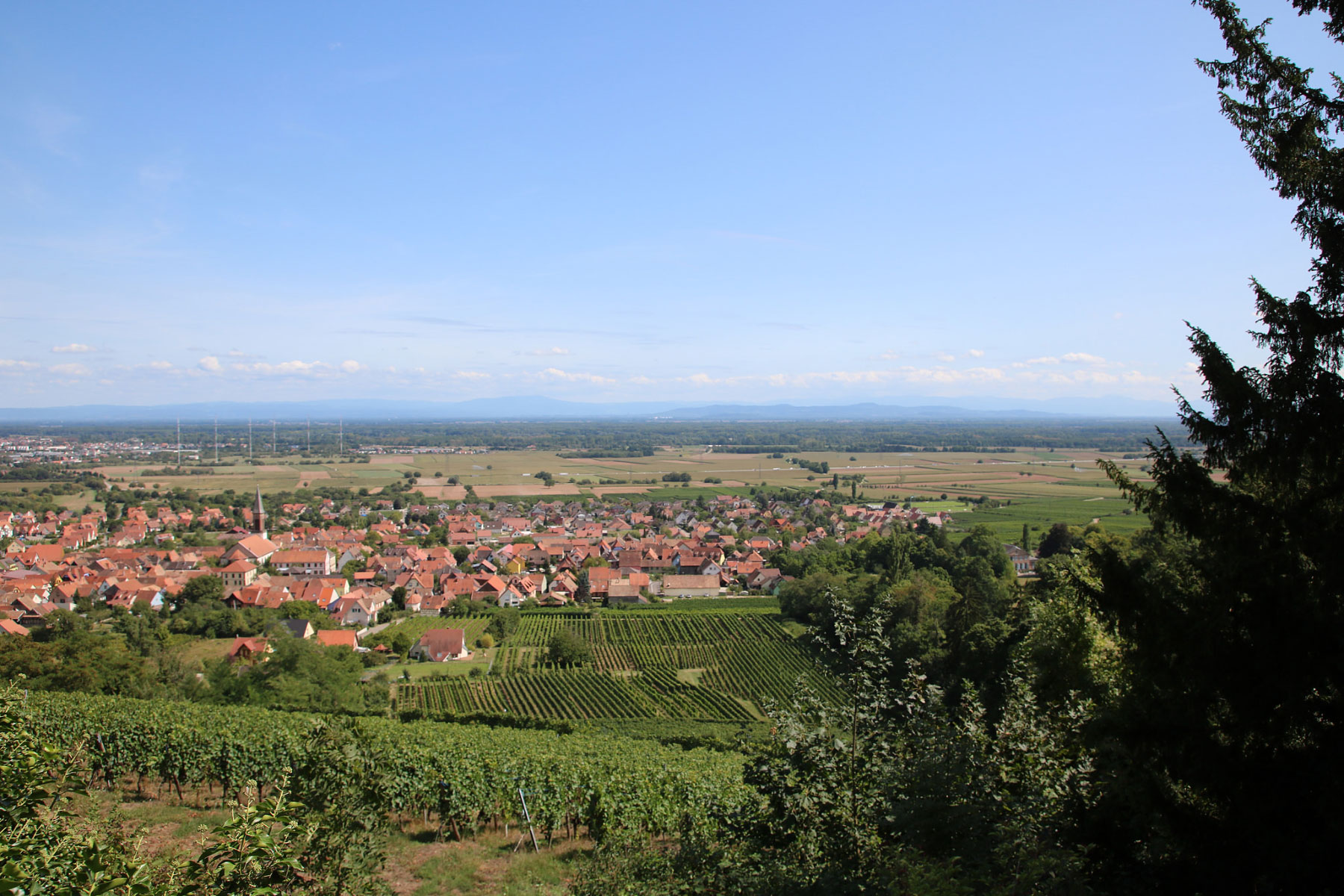 Kintzheim